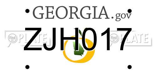 ZJH017 Georgia License Plate