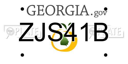 ZJS41B Georgia License Plate