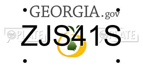 ZJS41S Georgia License Plate