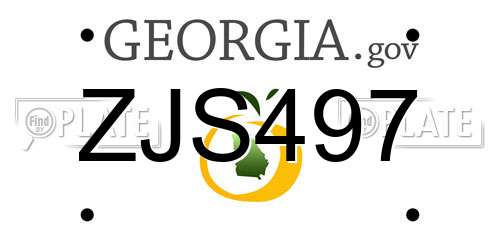 ZJS497 Georgia License Plate