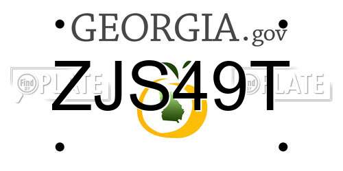 ZJS49T Georgia License Plate