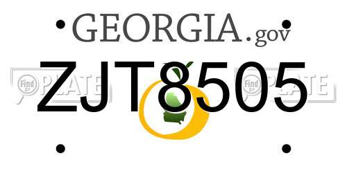 ZJT8505 Georgia License Plate