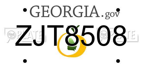 ZJT8508 Georgia License Plate