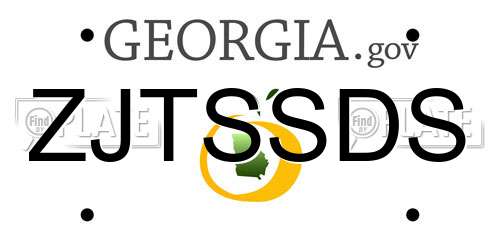 ZJTSSDS Georgia License Plate