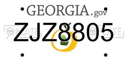 ZJZ8805 Georgia License Plate