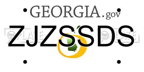 ZJZSSDS Georgia License Plate
