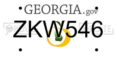 ZKW546 Georgia License Plate
