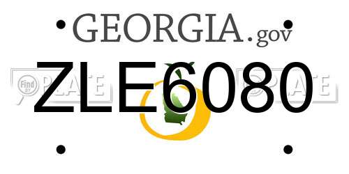 ZLE6080 Georgia License Plate