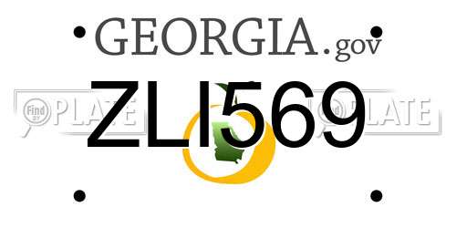 ZLI569 Georgia License Plate