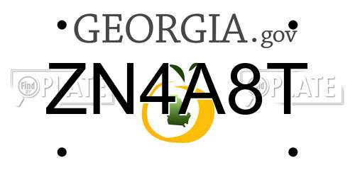 ZN4A8T Georgia License Plate