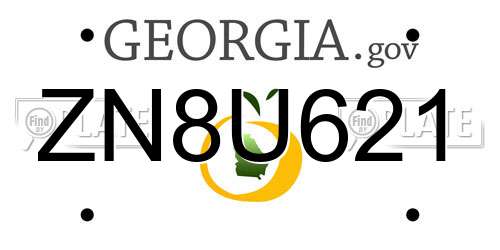 ZN8U621 Georgia License Plate