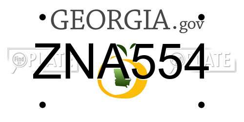 ZNA554 Georgia License Plate