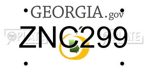 ZNC299 Georgia License Plate