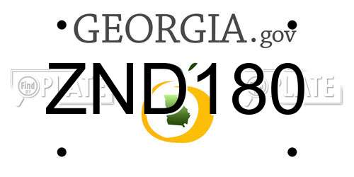 ZND180 Georgia License Plate