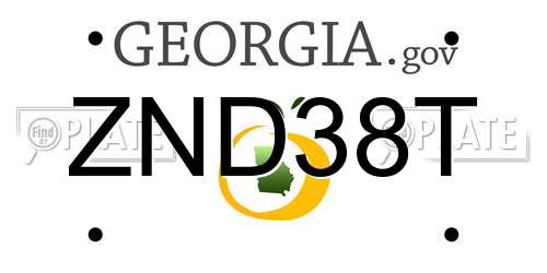 ZND38T Georgia License Plate