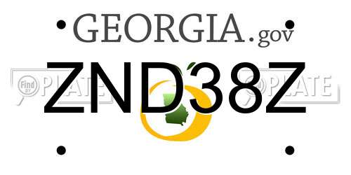 ZND38Z Georgia License Plate