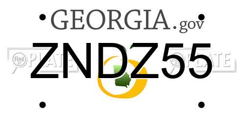 ZNDZ55 Georgia License Plate