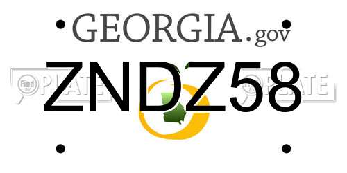 ZNDZ58 Georgia License Plate