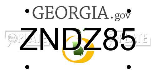 ZNDZ85 Georgia License Plate