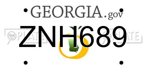 ZNH689 Georgia License Plate