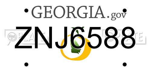 ZNJ6588 Georgia License Plate