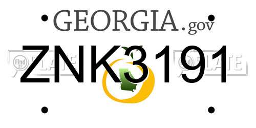 ZNK3191 Georgia License Plate