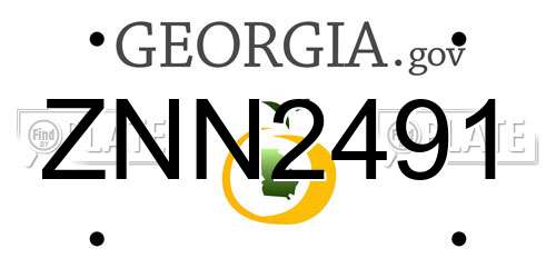 ZNN2491 Georgia License Plate