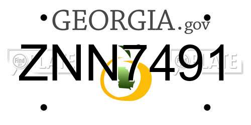 ZNN7491 Georgia License Plate