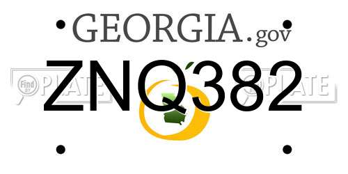ZNQ382 Georgia License Plate