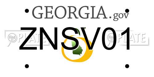ZNSV01 Georgia License Plate
