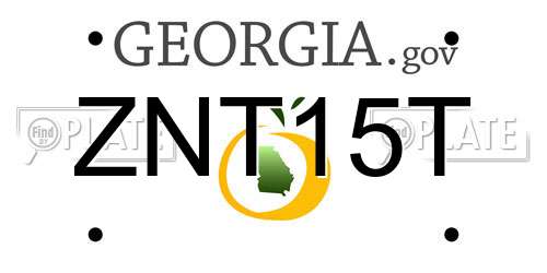 ZNT15T Georgia License Plate