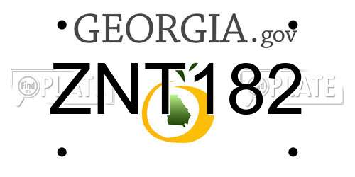 ZNT182 Georgia License Plate
