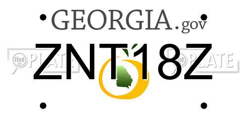 ZNT18Z Georgia License Plate