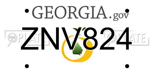 ZNV824 Georgia License Plate