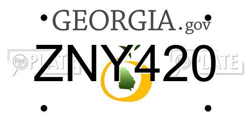 ZNY420 Georgia License Plate