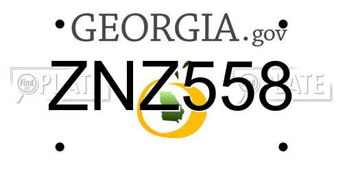 ZNZ558 Georgia License Plate