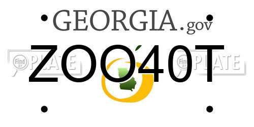 ZOO40T Georgia License Plate