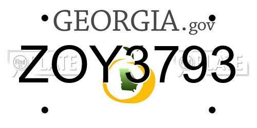 ZOY3793 Georgia License Plate
