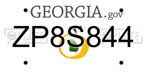 ZP8S844 Georgia License Plate