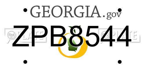 ZPB8544 Georgia License Plate