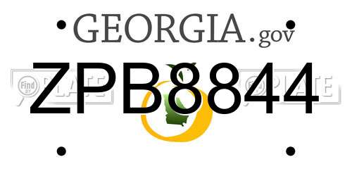 ZPB8844 Georgia License Plate