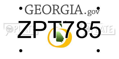 ZPT785 Georgia License Plate