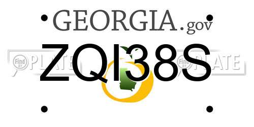 ZQI38S Georgia License Plate