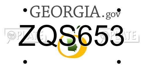 ZQS653 Georgia License Plate