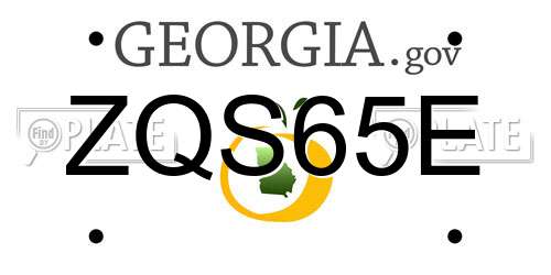 ZQS65E Georgia License Plate