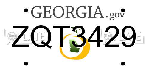 ZQT3429 Georgia License Plate