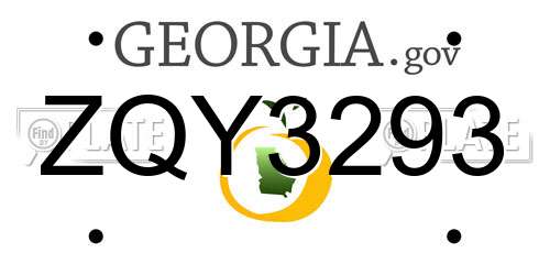 ZQY3293 Georgia License Plate