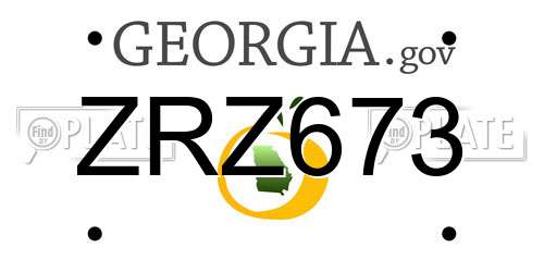 ZRZ673 Georgia License Plate