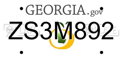 ZS3M892 Georgia License Plate