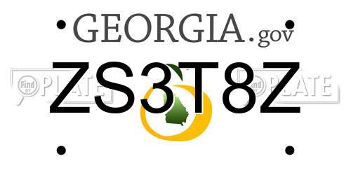 ZS3T8Z Georgia License Plate